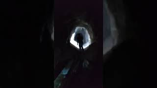 A mile underground in an old Gold Mine,,,there was this ,,, we had to see whats on the other side