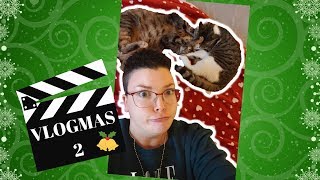 🎄 VLOGMAS #2 - SONO RIMASTA SOLA! 🎄