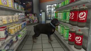 Grand Theft Auto V Chop the dog paints the town red! GTAonline