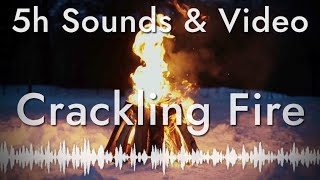 Relaxing Campfire Sounds in a Winter Forest (5 hours of relaxation sounds with video)