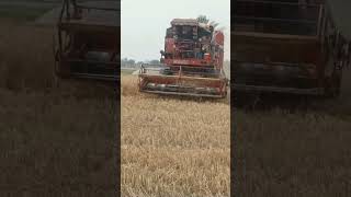 Multi Harvester