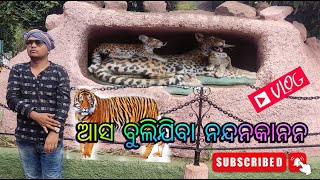 ଆସ ବୁଲଯିବା ନନ୍ଦନକାନନ 2 //NANDANKANA//Odisha//blogs