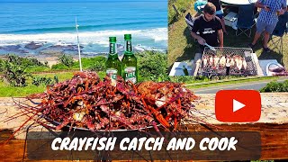 CRAYFISH CATCH AND COOK South Africa (Kreef Braai)