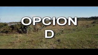 Elije tu propia aventura - OPCIÓN D