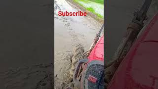 Solis 5015 4wd Stuck in mud #shortsvideo #tractorvideo #trending #4wdtractor #4x4tractor