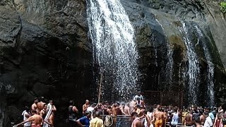 Old Courtallam Falls | பழைய குற்றாலம் அருவி | live!