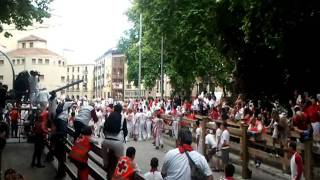 Primer encierro San Fermín 2011. Toros de Torrestrella