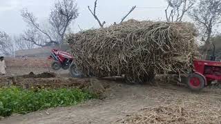 Massey And Belarus Tractor Live accident Show in Village