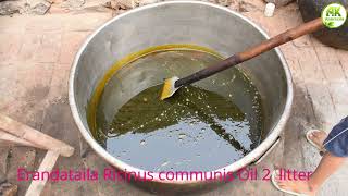 Saindhavadi taila [Brihat] (वृहत सैंधवादी तेल)benefits, How To Use, Ingredients, Side Effects