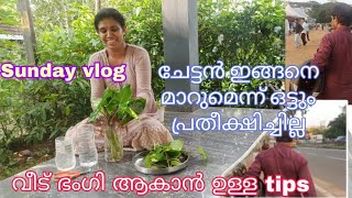 ചേട്ടൻ ഇങ്ങനെ മാറുമെന്ന് പ്രതീക്ഷിച്ചില്ല #sunday |@kitchenupdatesbyjisha4606