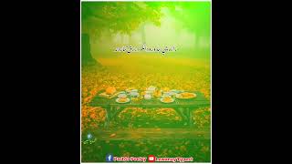 muner buneri poetry | نه وس لرو د حج او نه اودس لرو مانځه ته | sad poetry heart touching 2024