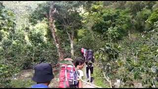 gunung latimojong, puncak rantemario 3478 mdpl...