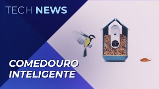 Conheça o comedouro inteligente que te ajuda a colecionar imagens de pássaros