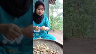 Dikampung lagi hujan cocok ini deketin gadis desa #shortvideo #gadisdesa #funny