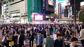 SHIBUYA  CROSSING TIME LAPSE