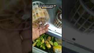 Mudaram o nome do canapum no supermercado mas continua ruim do mesmo jeito