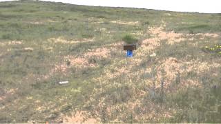 1 pound tannerite