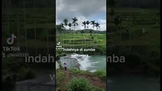 bagus kali di sumba #sumbabaratdaya #indahnya #tempatwisata