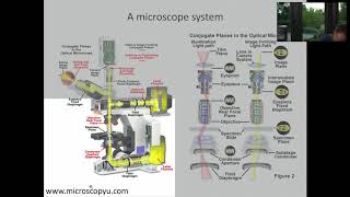 L02 03 Microscope systems