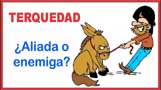 TERQUEDAD - ¿Qué nos impide ceder? - 5 ESTRATEGIAS PARA SUPERAR LA TERQUEDAD - Alexander Cruzalegui