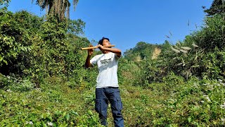 Bamboo Flute fusion.. 🎼🕊️❤️