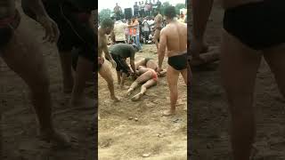 Kushti Dangal Panasa (Reasi)