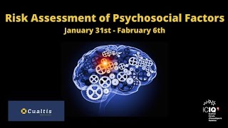 Risk Assessment of Psychosocial Factors 2022 ICIQ