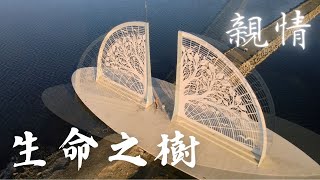 【生命之樹_親情之章】4K空拍《全台唯一》鹽田中央的雪白之樹_台南扇形鹽田  #生命之樹 #扇形鹽田