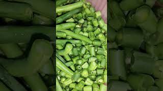 French Beans... ready to cook 😋 #chefjamal #food #Frenchbeans #Green #fresh