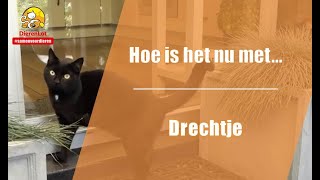 Hoe is het nu met... Drechtje?