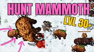 TIBIA - HUNT E TASK MAMMOTH E BADGER 30K PROOFIT - TIBIA