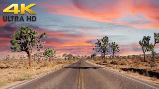 Relaxing Arizona Desert Sunset Drive 4K