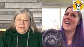 CBD Dog Health with Krysta Fox