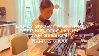 Gamma Vibes - Early snowy morning deep melodic house jam session