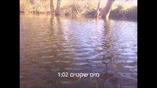 מים שקטים- מוריה נוה- מוסיקה להרפייה Still waters - an hour of music for relaxation