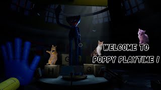 Playing poppy playtime for the first time!