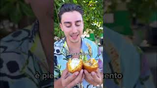 ARANCINA A PALERMO #shorts #foodie #arancina #palermo