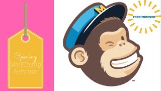 How To Sign Up For A Free Mail Chimp Account