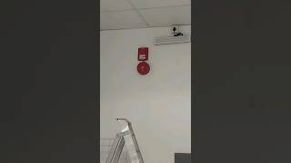 Fire alarm siren with flasher #viral #shortvideo #shots @bakhshtechnical