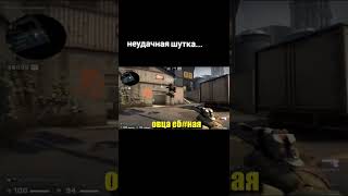 попалась девушка в кс го #ксго #csgo #нави #райз #navi #симпл