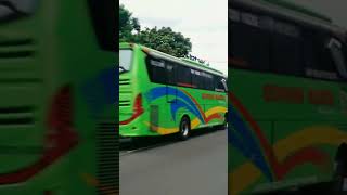 Hunting bis didepsos bekasi #bismaniacomunity #videoshort