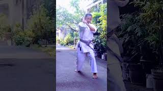 kata seiyunchin karate GOKASI#shortvideo