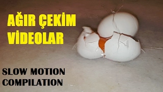 Ağır Çekim Videolar / Slow Motion Compilation