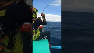 JORAN DAIDO POSEIDON DI HAJAR IKAN PARI 7 KG || JEMPONG MANCING#JM-03