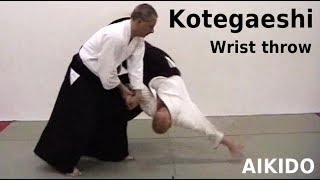 Aikido technique KOTEGAESHI, wrist throw, by Stefan Stenudd in 2004