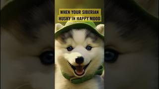 WHEN SIBERIAN HUSKY IN HAPPY MOOD #dog #puppy #shorts #viral #trending #short #youtubeshorts #cute