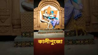 Dum Dum Kali Pujo 2024 | #shorts #youtubeshorts #shortvideo