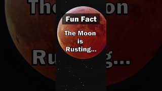 Fun Fact: 🌕🥉 So weird! #shorts #facts #viral #nature #moon