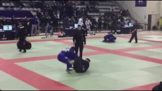 Shaiz Khan vs Jerome Quiros - IBJJF Paris Open 2016 26/11/2016