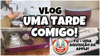 UMA TARDE COMIGO: Limpei a cozinha  e fiz + uma aquisição da Apple 🤡 por @clickdaju